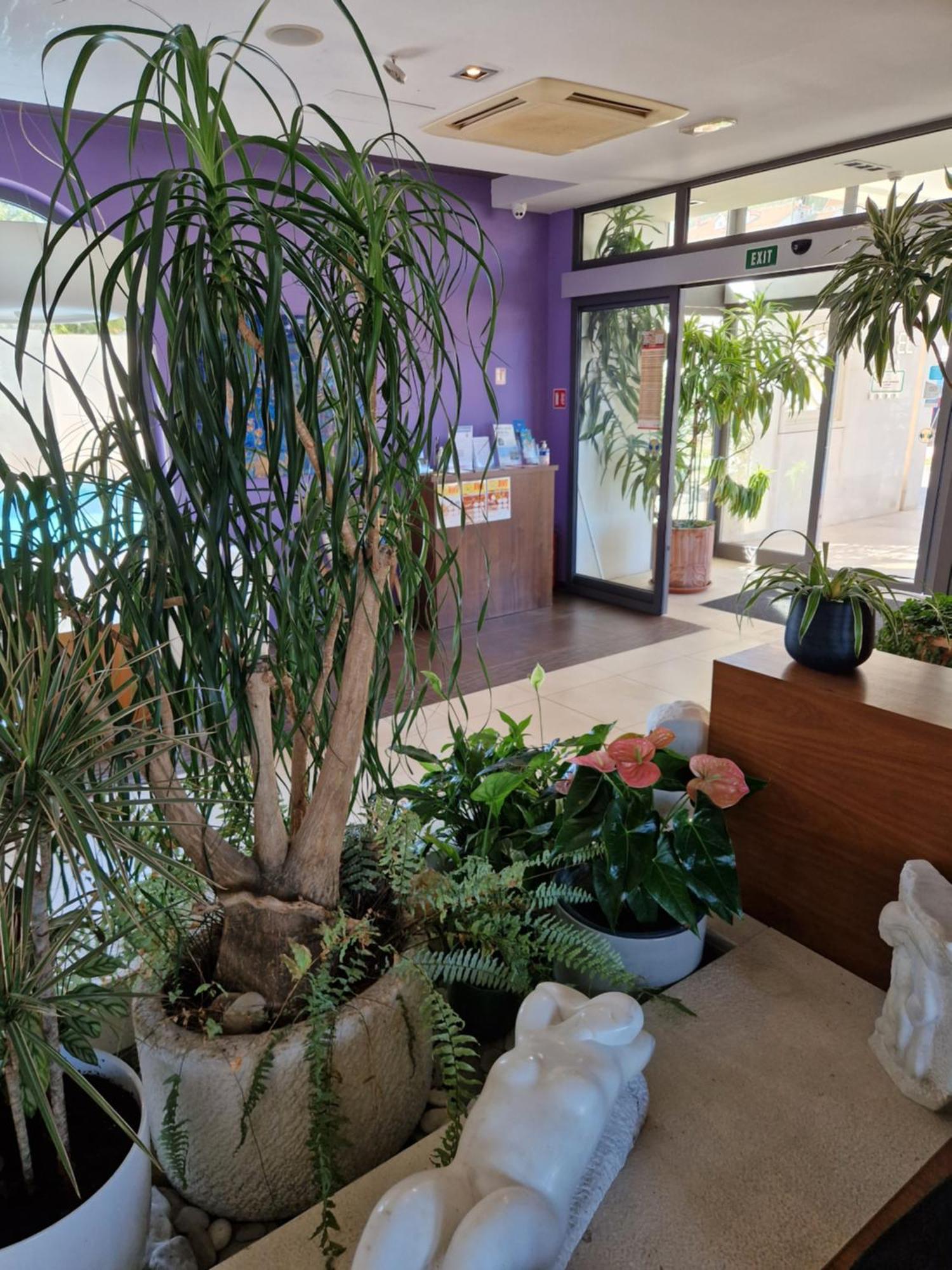 Hotel Lipa Postira Dış mekan fotoğraf
